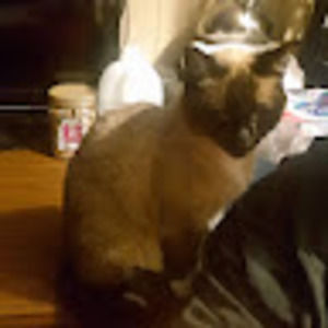 Meet your Posher, Roxanne